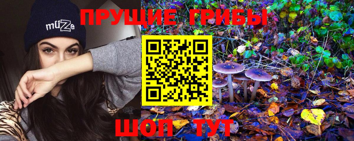 Галлюциногенные грибы GOLDEN TEACHER Сургут