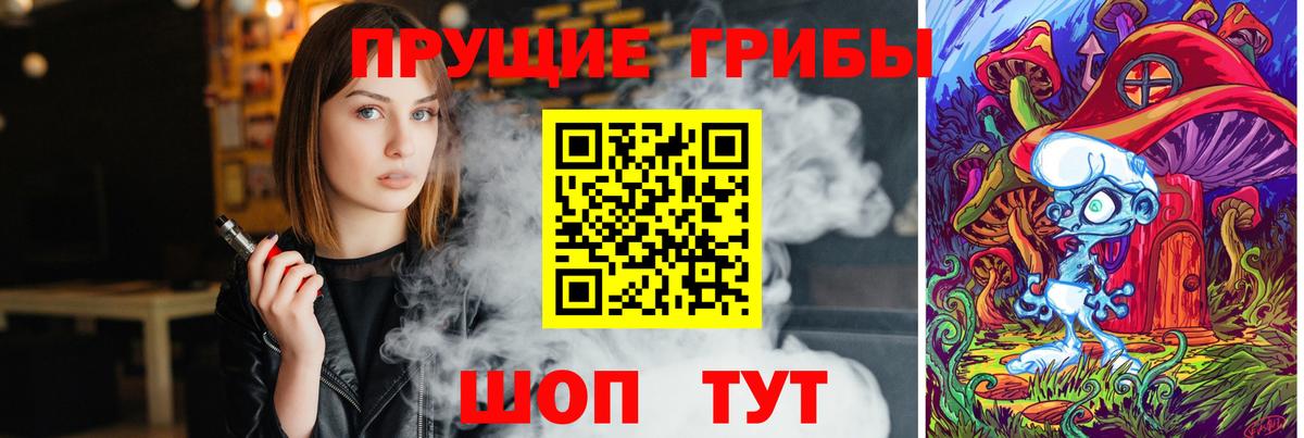 Псилоцибиновые грибы мицелий  Псилоцибиновые грибы мухоморы  даркнет сайт  Сургут  Вход с VPN 